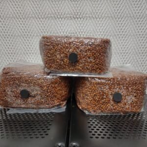Red Milo Sorghum Spawn Bags | 3 lbs