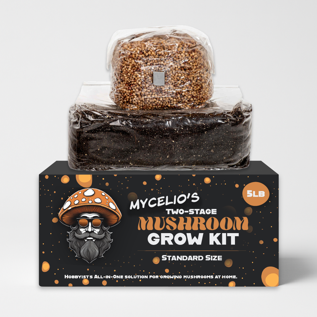 Mycelio 5lb Two-Stage Mushroom Grow Kit | Wholesale 5lb Mycelio Two-Stage mushroom grow kit with grain spawn and substrate for wholesale