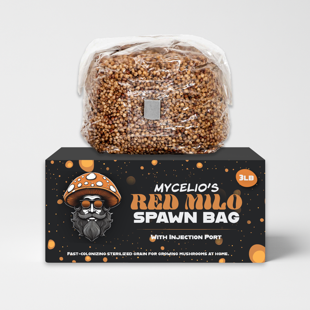 Mycelio 3lb Red Milo Spawn Bag | Wholesale Grain Spawn 3lb Mycelio Red Milo mushroom grain spawn bag with injection port for wholesale buyers