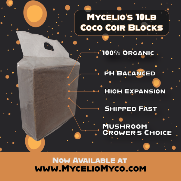 Coco Coir Blocks | 10 lbs - Image 2