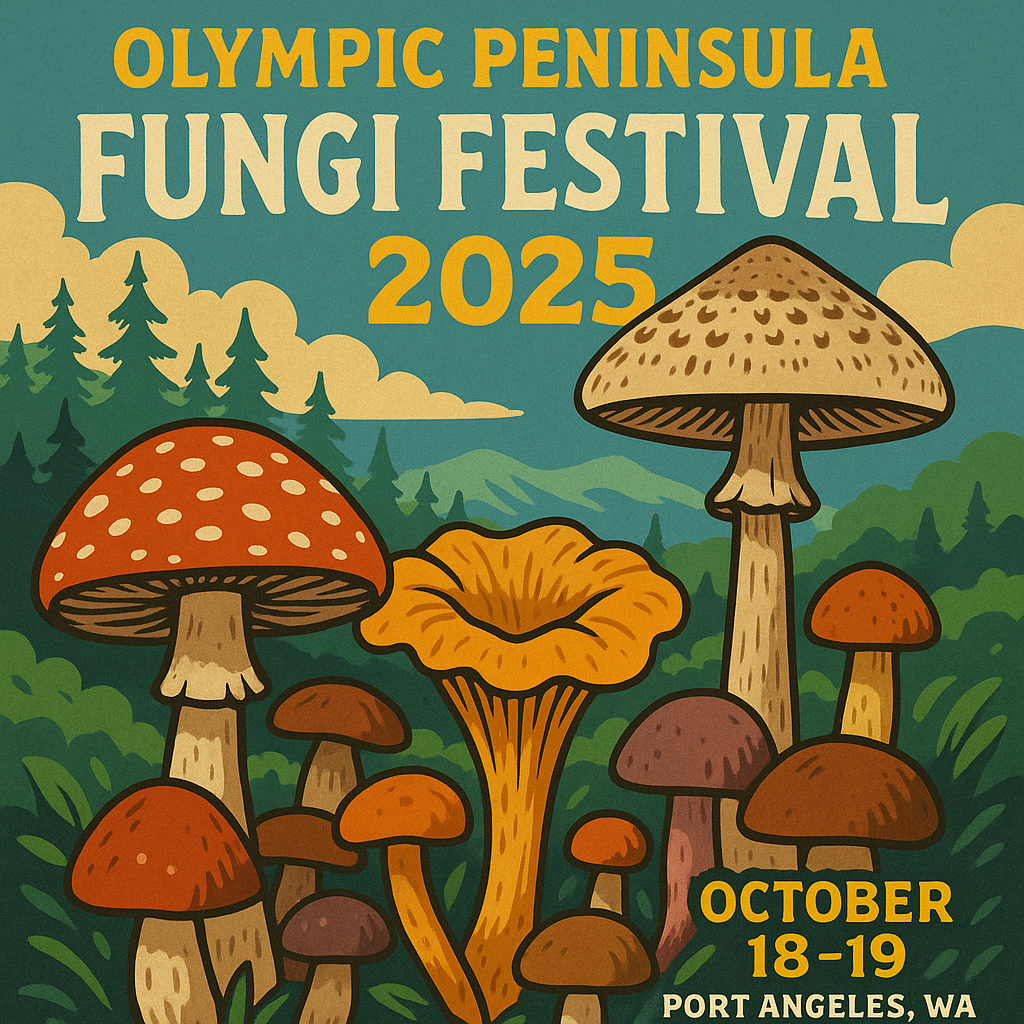 Square vintage-style poster for the Olympic Peninsula Fungi Festival 2025 in Port Angeles, WA, October 18–19. Features colorful hand-drawn mushrooms including Amanita muscaria, chanterelles, and parasol mushrooms set against green forested hills and a teal sky with yellow clouds.