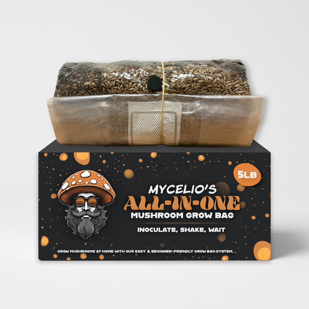 3lb All-in-One Mushroom Grow Bag | Mycelio 3lb all-in-one mushroom grow bag on Mycelio retail box, sterile rye grain with substrate and filter patch